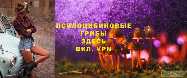 таблы Алзамай