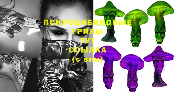 таблы Алзамай