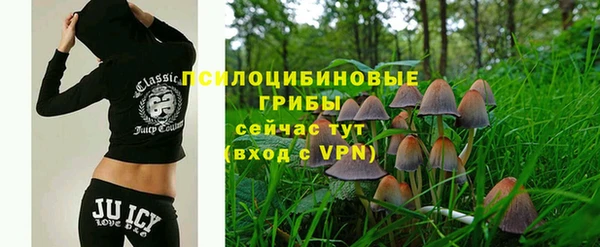 таблы Алзамай